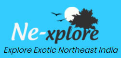 Nexplore Logo